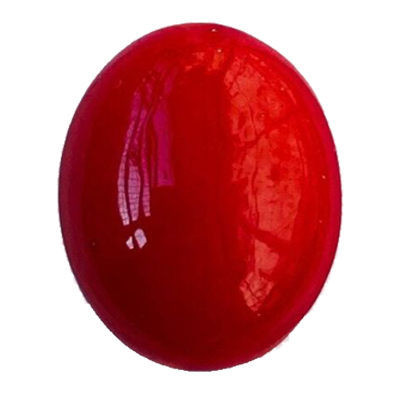 Red Coral
